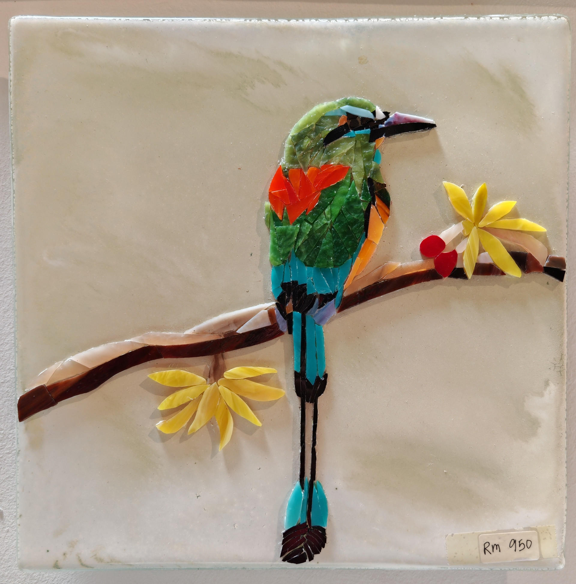 Turquoise-browned Motmot