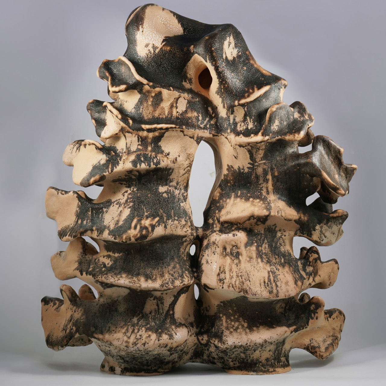 Bone Series No 2